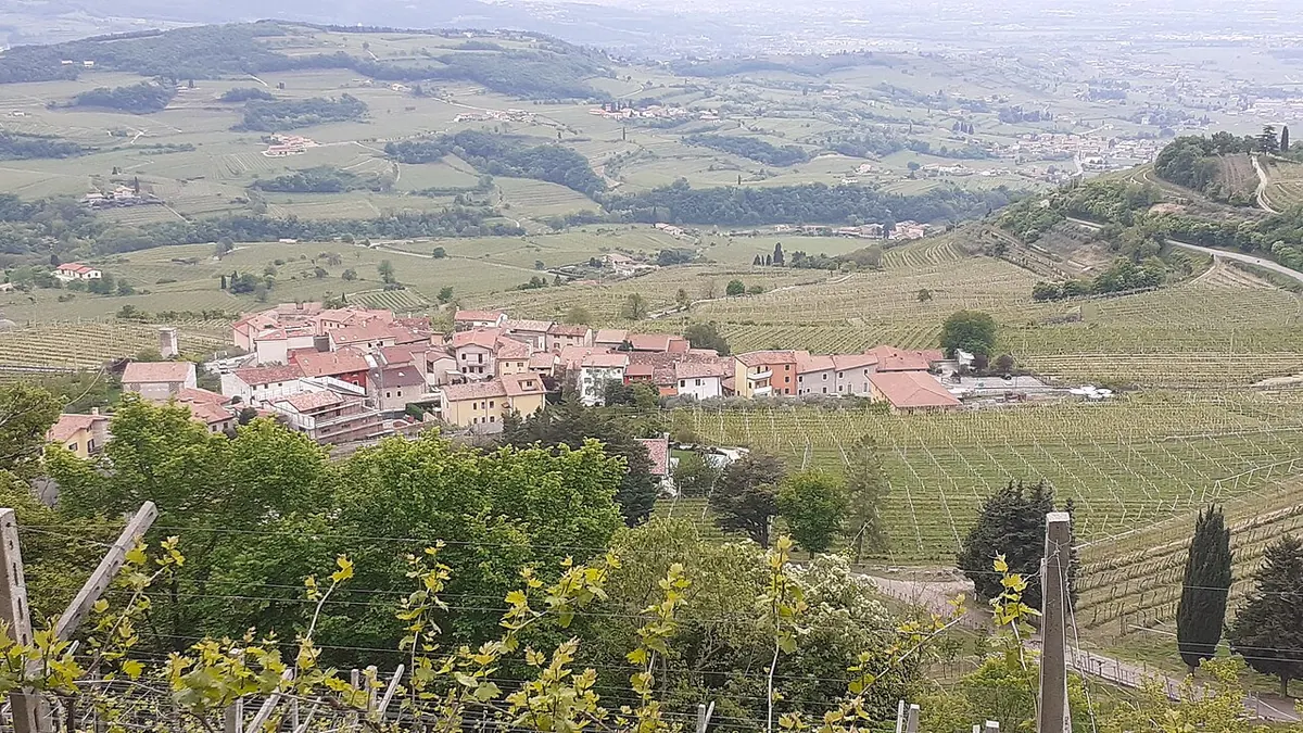 Una contrada della Valpolicella circondata dai vigneti